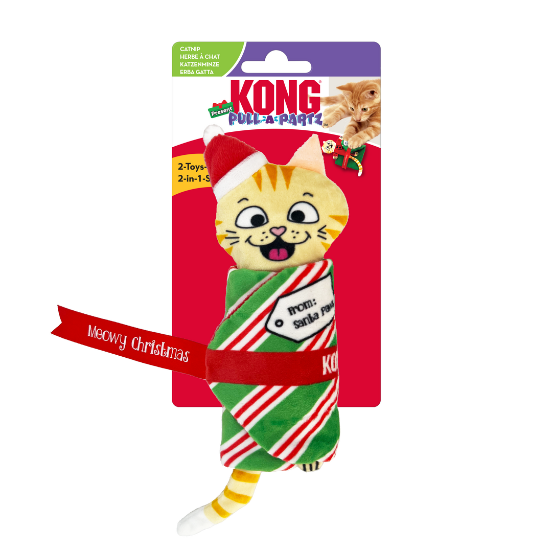 KONG Christmas Holiday Pull-A-Partz Present