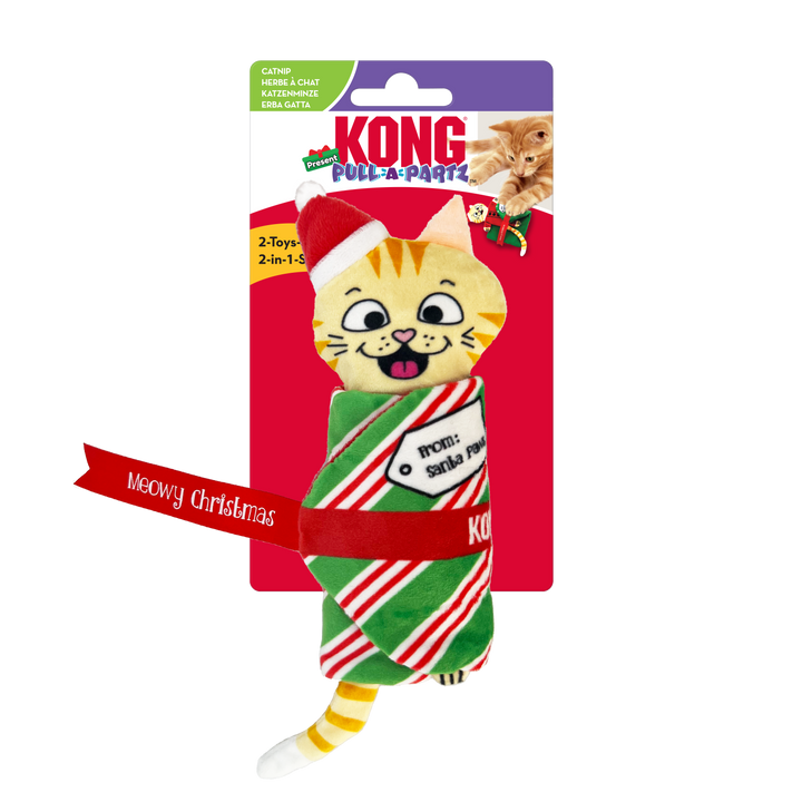 KONG Christmas Holiday Pull-A-Partz Present