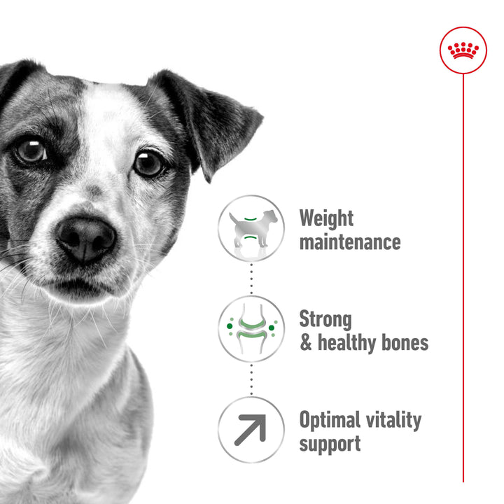 Royal Canin Adult +8 8kg, view 3