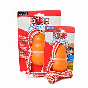 KONG Aqua Floating Kong Large (Dog) 