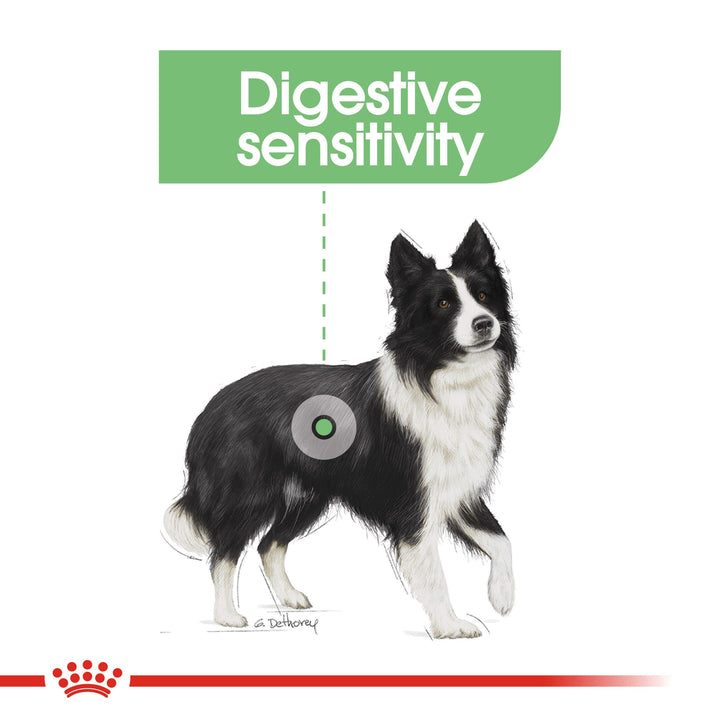 Royal Canin Dog Adult Medium Digestive Care +12 Months (11-25kg) 3kg, view 3