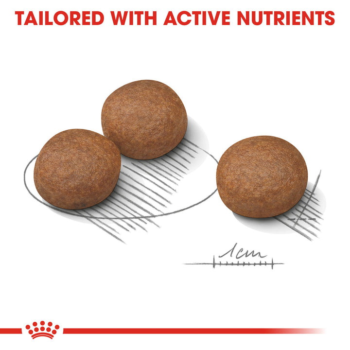 Royal Canin Dog Adult Medium Digestive Care +12 Months (11-25kg) 3kg, view 4