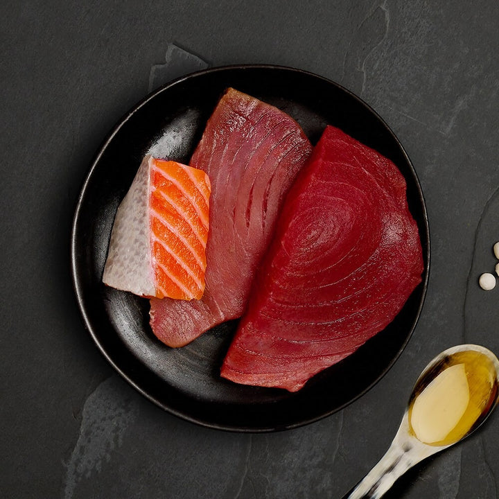 Fresh tuna steaks and a salmon fillet, the ingredients in Canagan Tuna with Salmon for cats