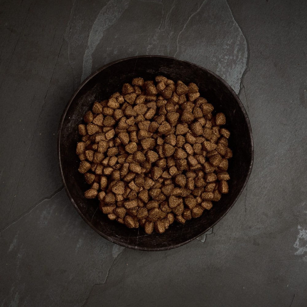 Canagan Free Range Chicken kibble in a bowl