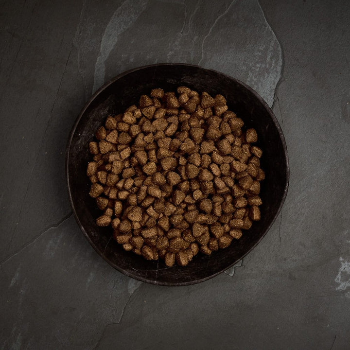 Canagan Free Range Chicken kibble in a bowl