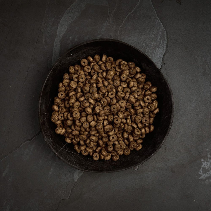 Canagan Small Breed Scottish Salmon small ring kibble in a bowl