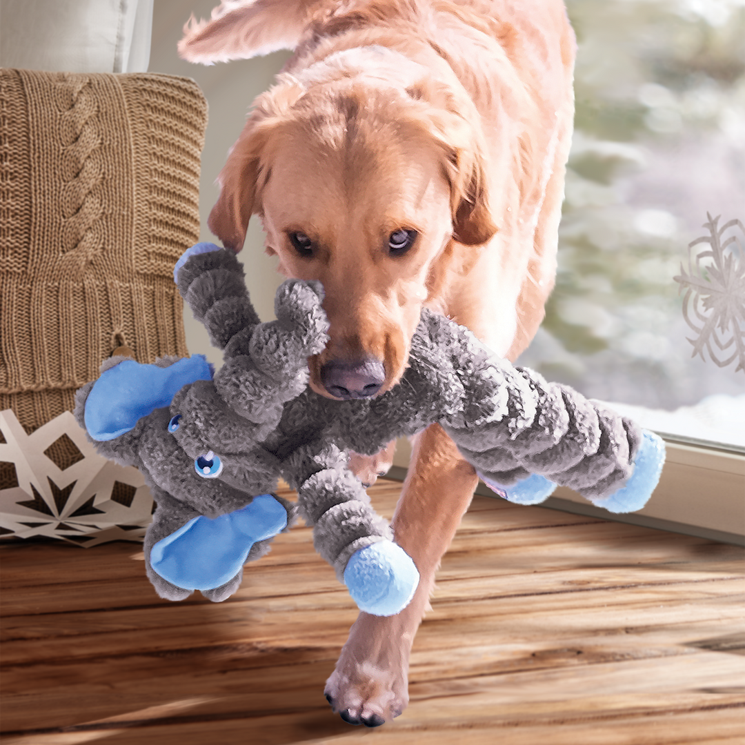 KONG Shakers Crumples Elephant Extra Large, in use