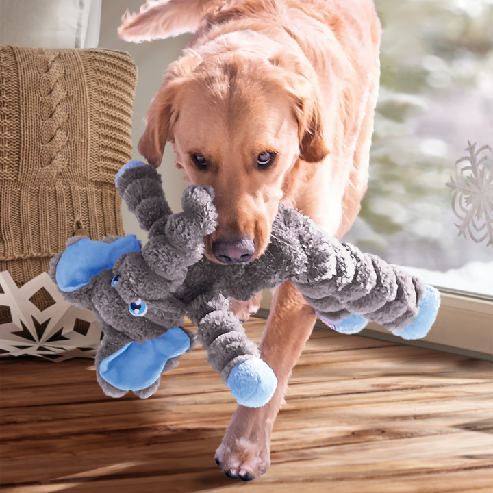 KONG Shakers Crumples Elephant Extra Large, in use