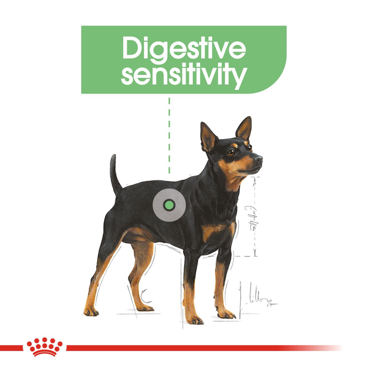 Royal Canin Dog Digestive Care Mini 3kg, view 3