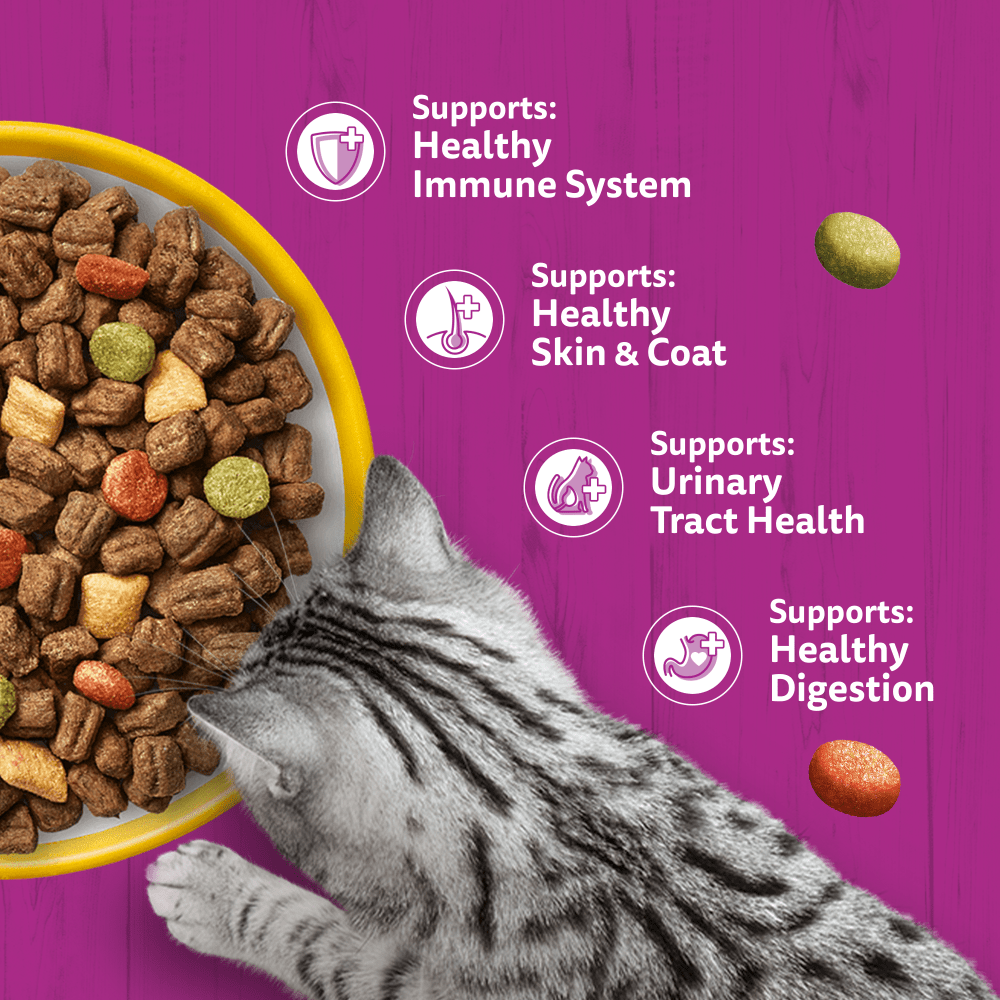 Whiskas 1+ Cat Complete Dry With Chicken 1.9kg, view 4