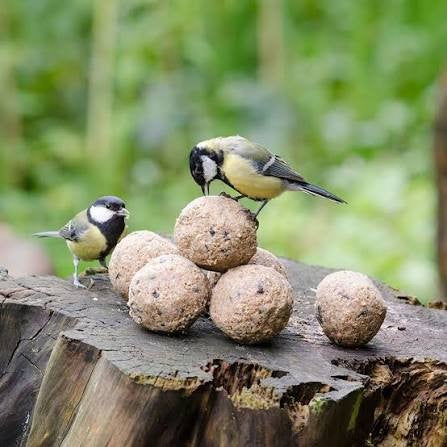 Wildbird Fatballs 6 Pack