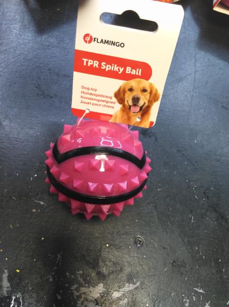 TPR Spiky Ball