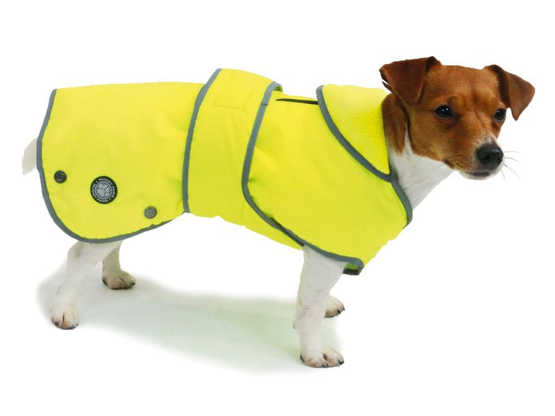 Ancol Stormguard Coat Hi-Vis Xlarge (Dog) 