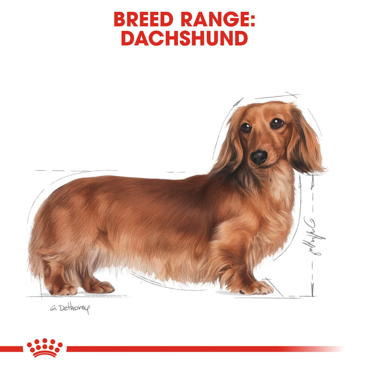 Royal Canin Dachshund 1.5kg, view 4