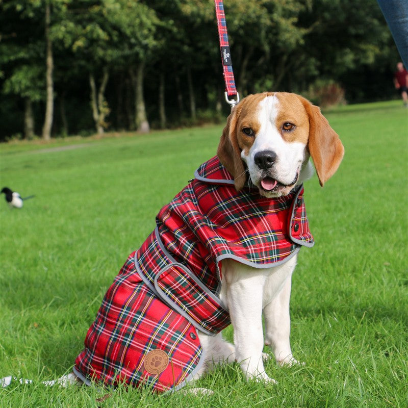 Ancol Heritage Red Tartan Coat Small/Medium (Dog) [AN980635] 