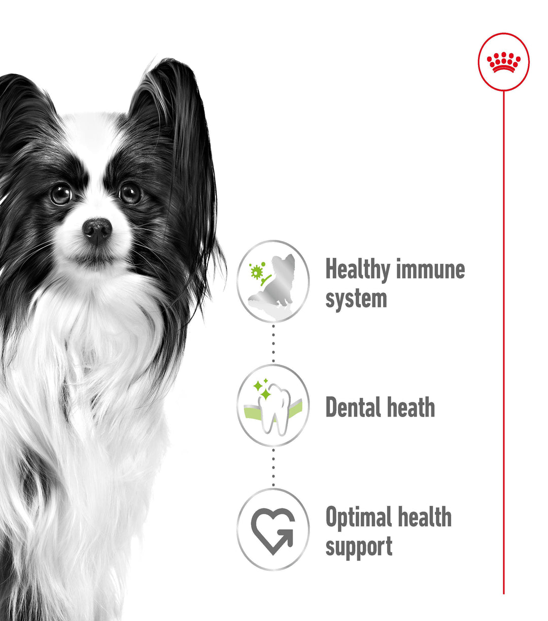 Royal Canin X-Small Adult 1.5kg, view 3