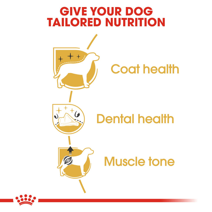 Royal Canin Mini Poodle 1.5kg, view 4