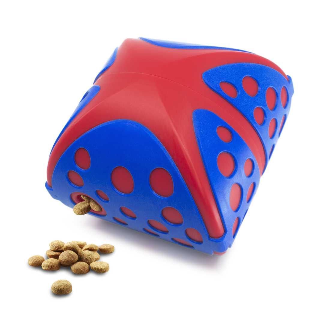 KONG Rewards Wally Medium/Large, how to use