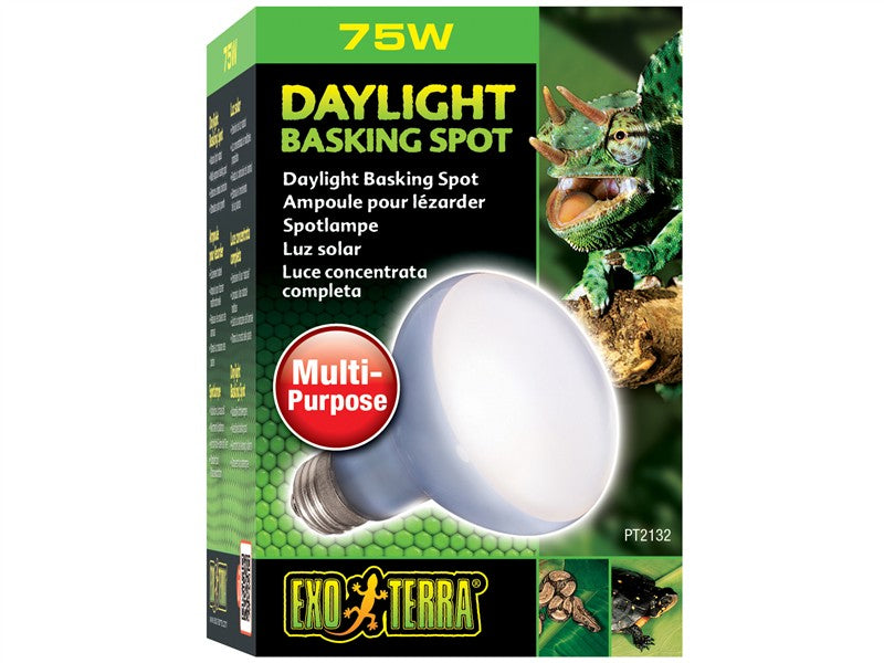 ExoTerra Daylight Basking Spot 75W (Reptile)