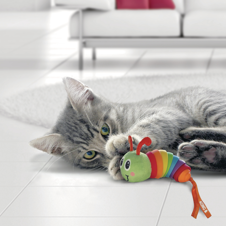 KONG Cat Bat-A-Bout Clackz Caterpillar, in use