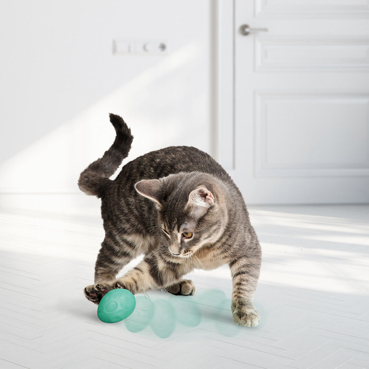 KONG Infused Catnip Egg Cat Toy 2 Pack