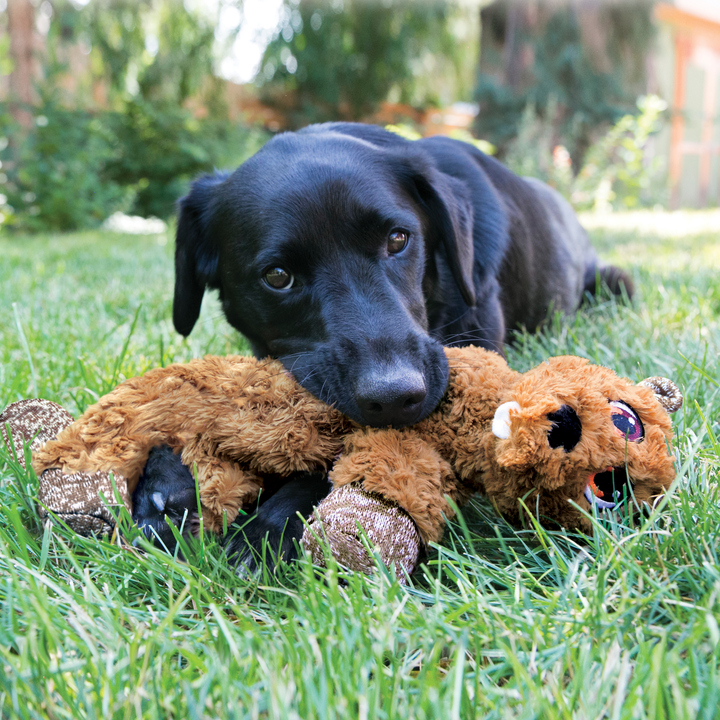 KONG Low Stuff Flopzie Fox Medium Dog Toy, in use