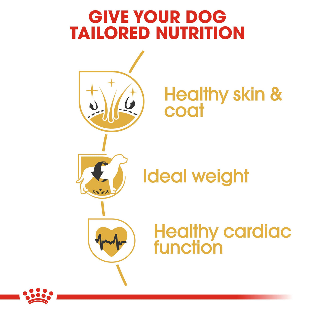 Royal Canin Cocker Spaniel 3kg, view 2
