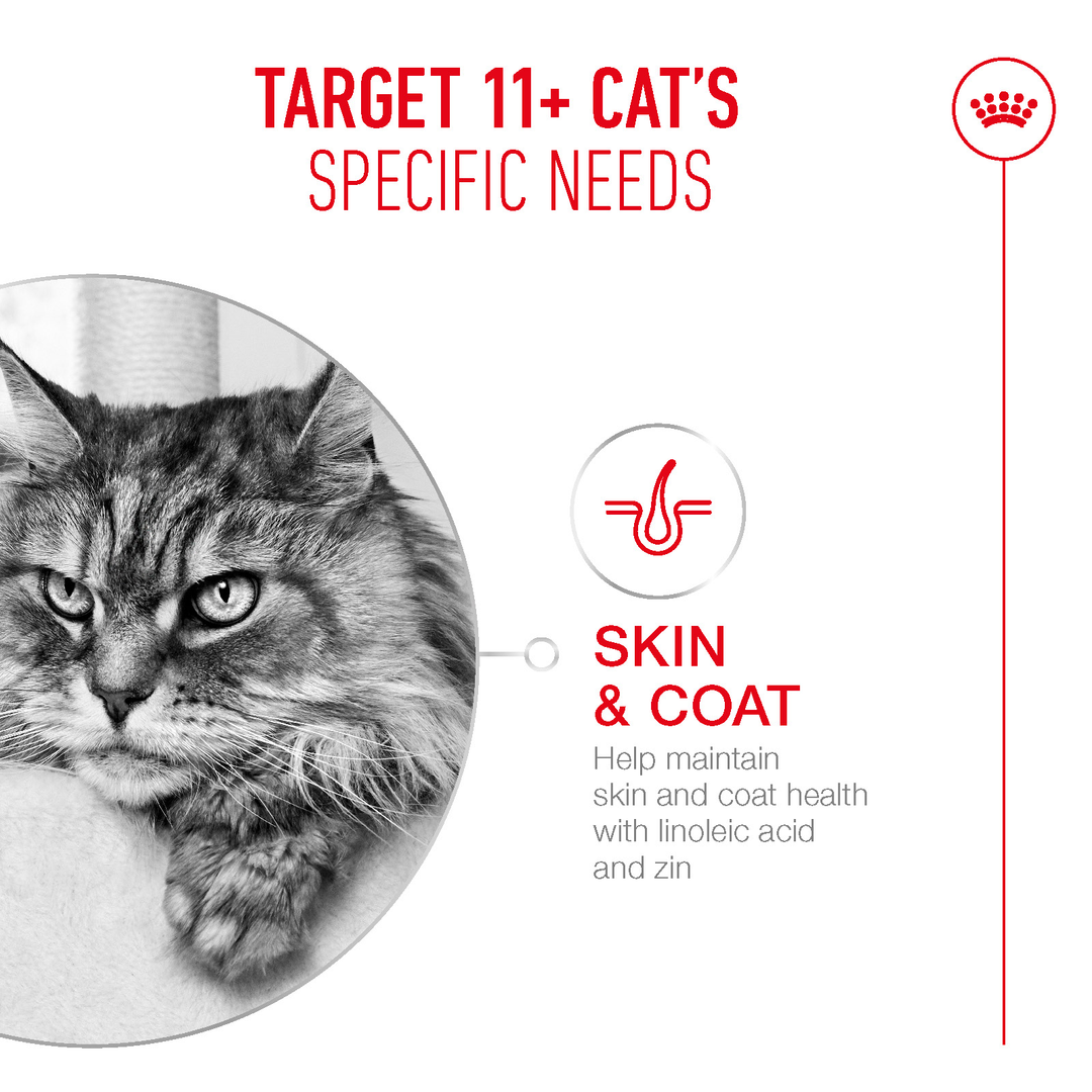 Royal Canin Ageing 11+ Chunks in Gravy 85g, view 3