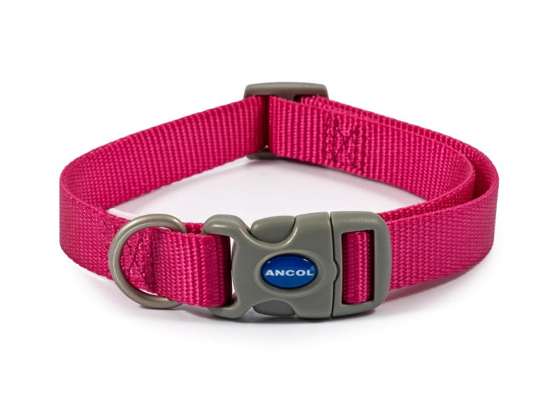 Ancol Viva Nylon Adj Collar Raspberry Size 1-2 