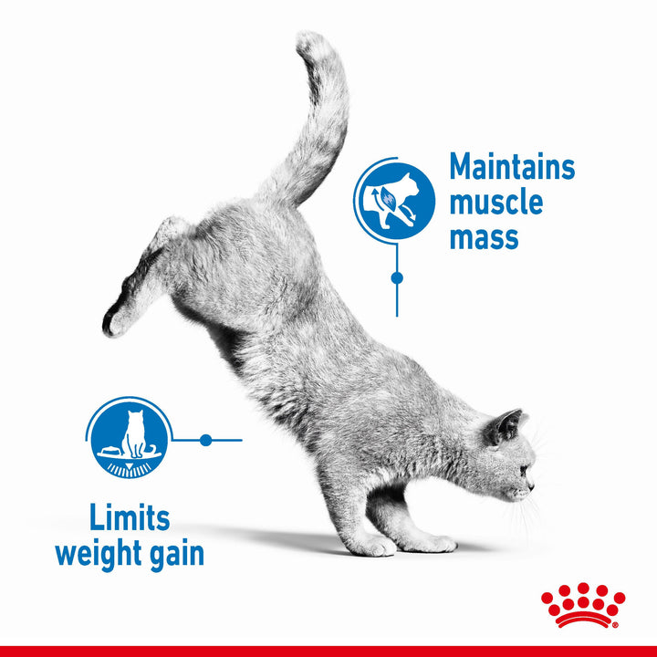 Royal Canin Light 40 400g, view 2