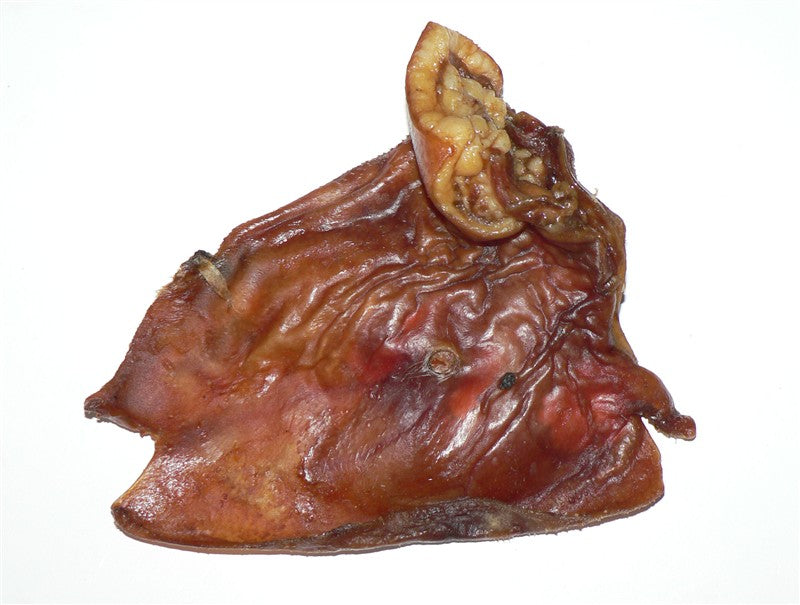 Pigs Ears Box of 100