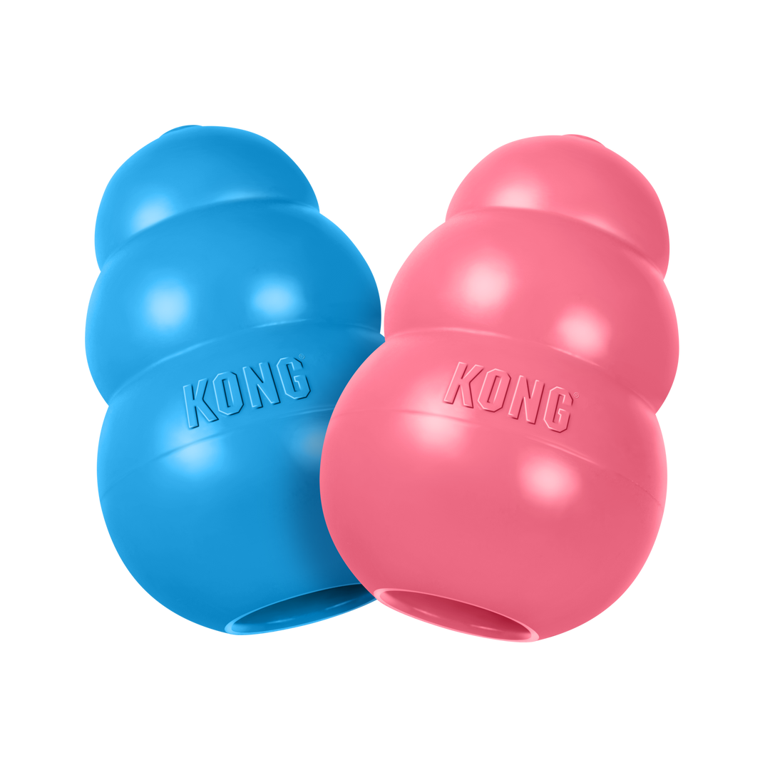 KONG Puppy Medium Pink/Blue