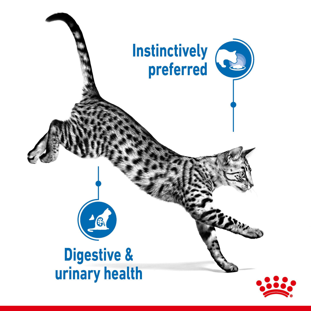 Royal Canin Indoor Sterilised Pouch 85g, view 3