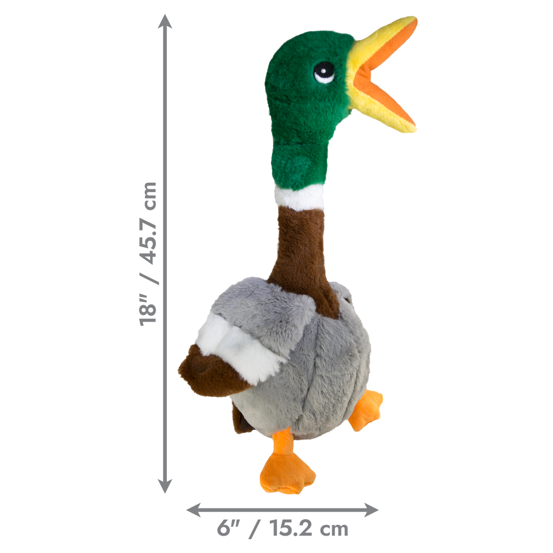 KONG Shakers Honker Duck Large Dog Toy, dimensions