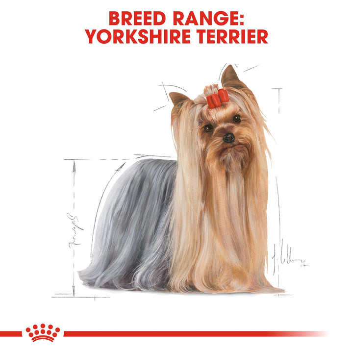 Royal Canin Yorkshire Terrier 1.5kg, view 3