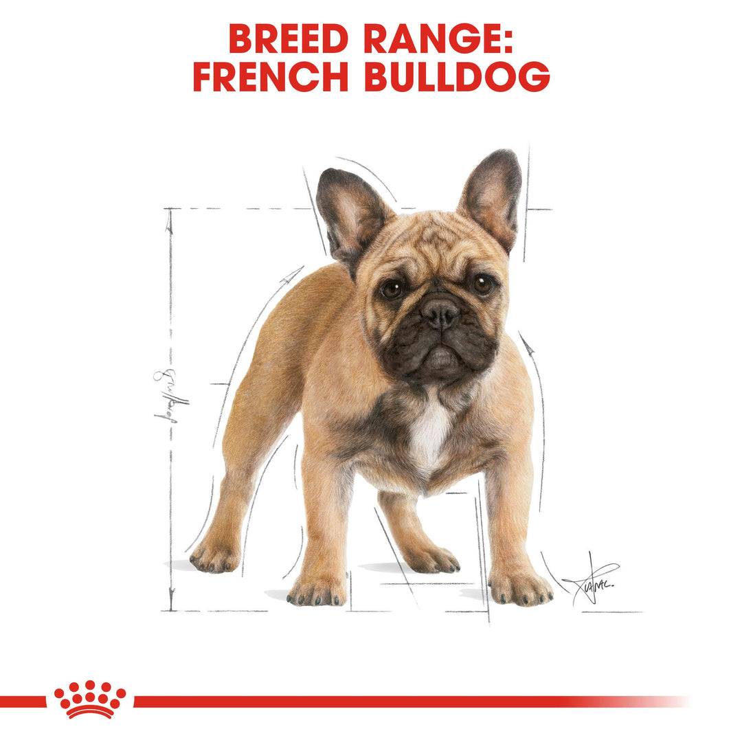 Royal Canin French Bulldog 3kg, view 2