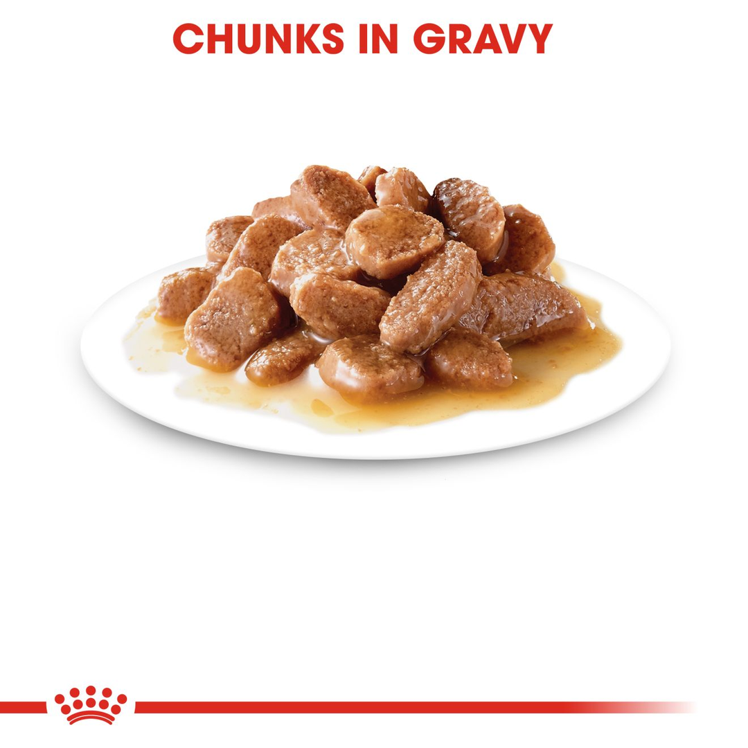 Royal Canin Urinary Care Gravy (12x85g), view 4