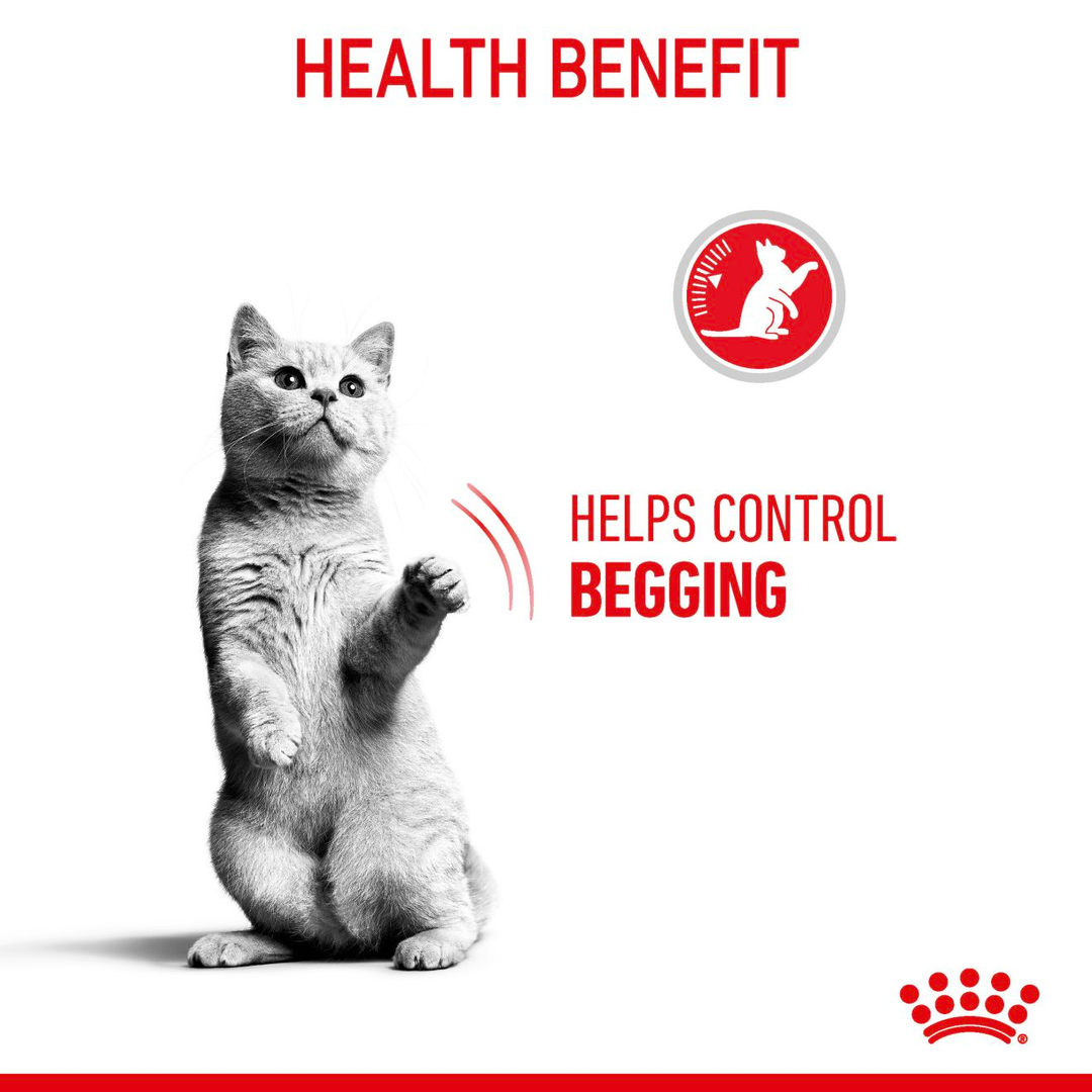 Royal Canin Appetite Control 2kg, view 4