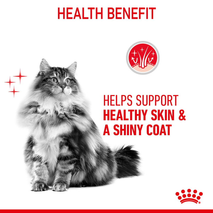 Royal Canin Hair and Skin 400g, view 4