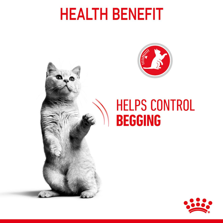 Royal Canin Appetite Control 85g, view 4