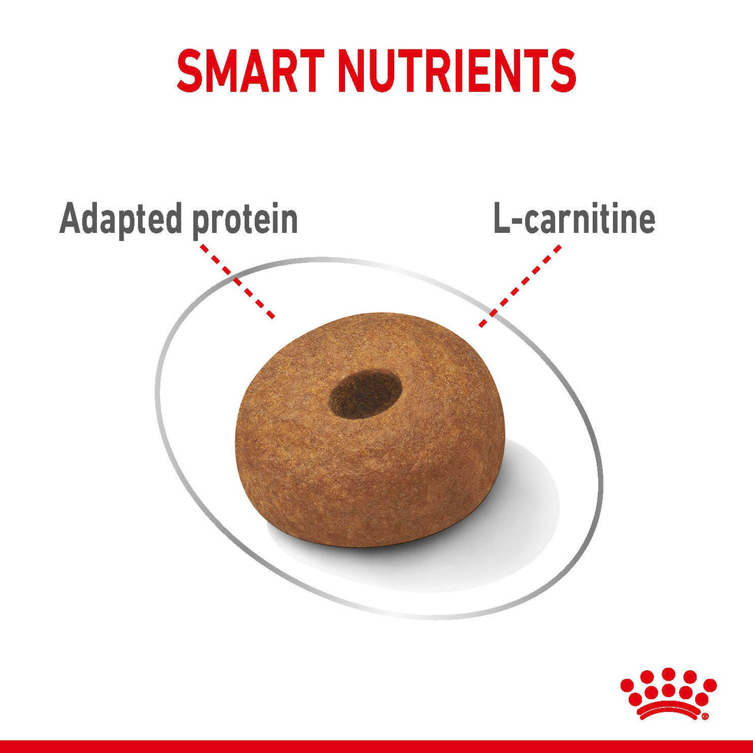 Royal Canin Dog Adult Maxi Light 12kg, view 4