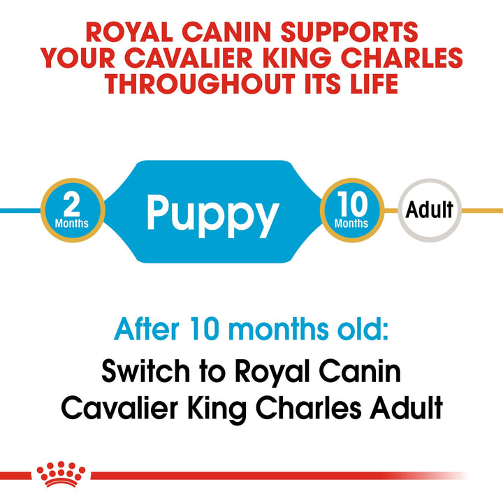 Royal Canin Cavalier King Charles Junior 1.5kg, view 3