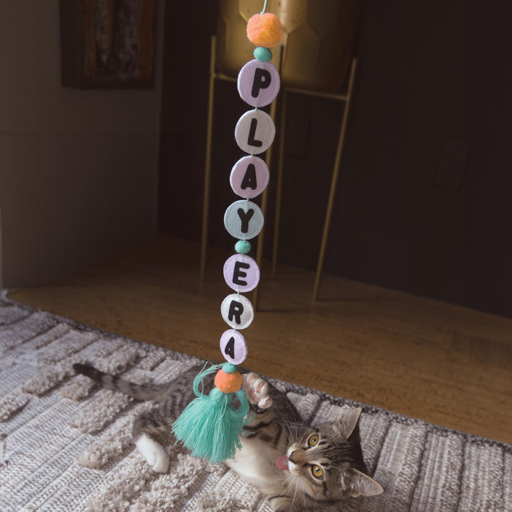 KONG Cat Teaser Friendship Cat Toy
