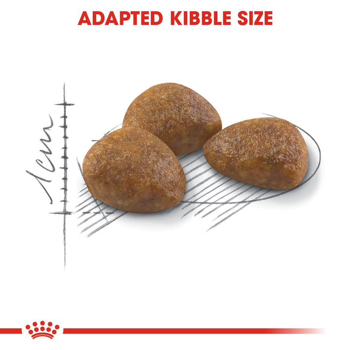 Royal Canin Outdoor 7+ 400g, view 5