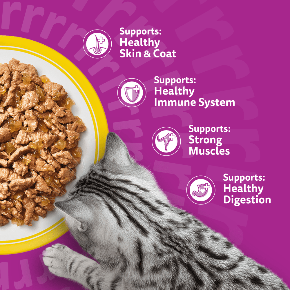 Whiskas 1+ Cat Pouches Poultry Feasts in Jelly 40x85g, view 4