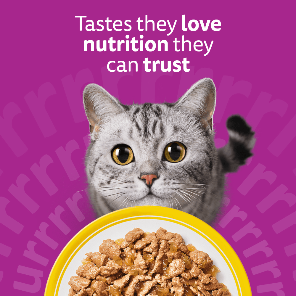 Whiskas 1+ Cat Pouches Poultry Feasts in Jelly 40x85g, view 2