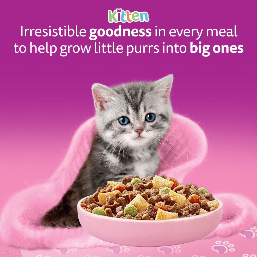 Whiskas Complete Kitten Chicken 1.9kg, view 2