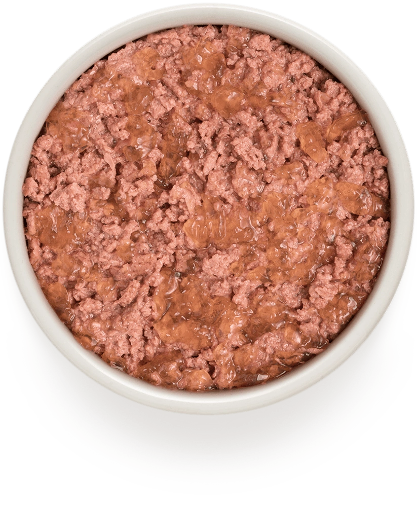 Grandorf Adult Veal and Turkey 400g Tin, view 2