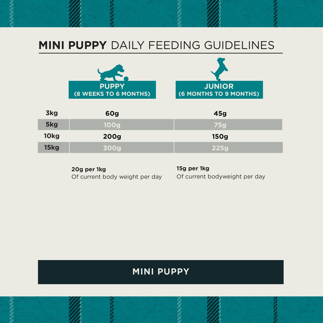 Burns Puppy Mini Chicken and Rice 2kg, view 5