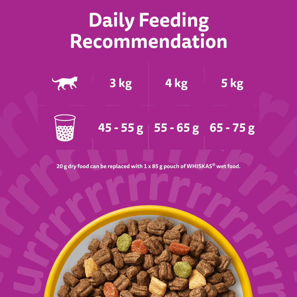 Whiskas 1+ Cat Complete Dry With Chicken 1.9kg, view 5